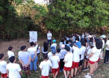 Munícipios da Região Noroeste realizam  plantios e palestras no Dia da Árvore
