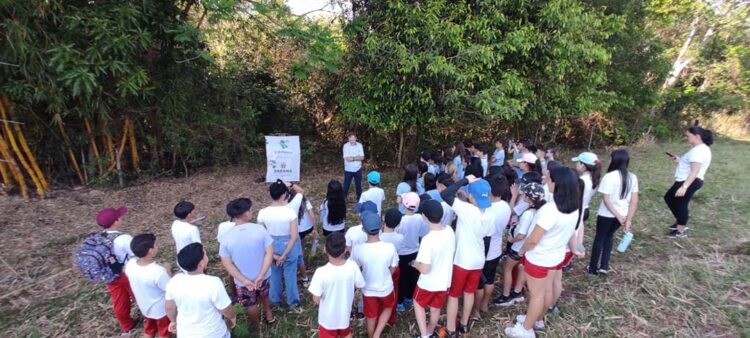 Munícipios da Região Noroeste realizam  plantios e palestras no Dia da Árvore