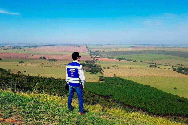 Adapar promove evento para discutir o futuro da defesa agropecuária