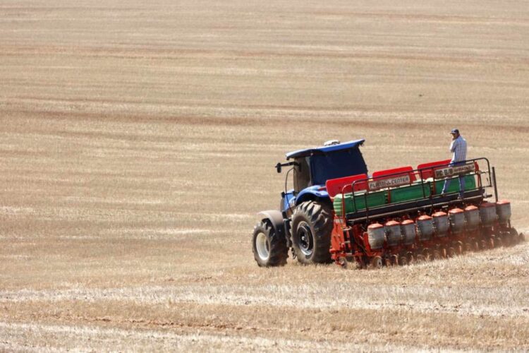 Plantio de soja já começou no Paraná; colheita do milho está no fim