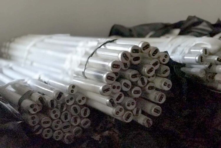 Municípios devem indicar pontos para coleta  de lâmpadas fluorescentes até o final do mês