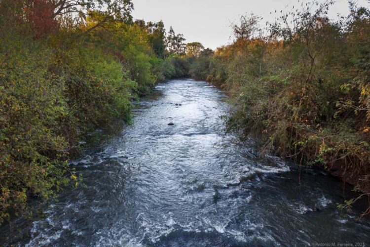 Sesc PR realiza mobilização para limpeza de rios e praias em 25 cidades