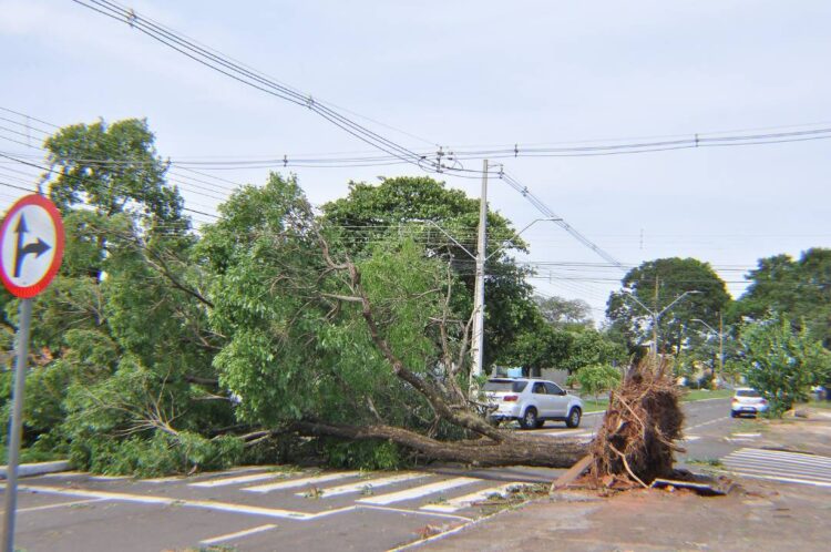 Limpeza após temporal garante 100% de  desobstrução das vias públicas de Paranavaí