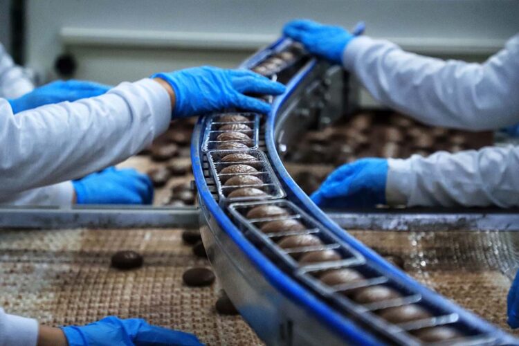 Paranavaí tem o oitavo mês consecutivo  com saldo positivo na geração de empregos