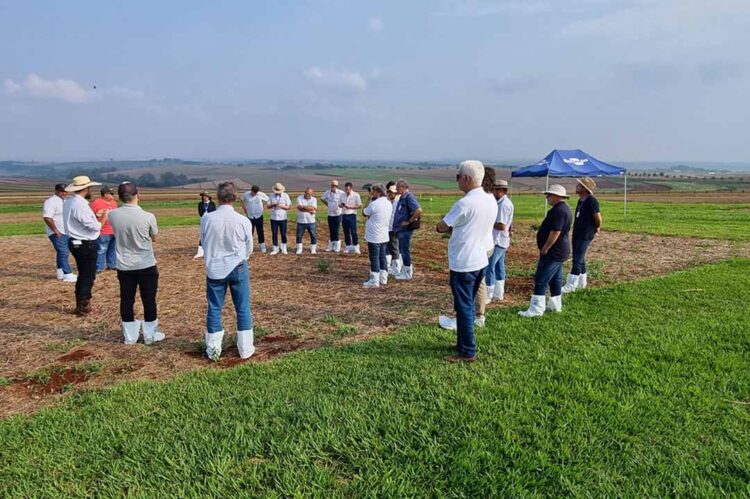 Produtores que adotam manejo integrado de pragas reduzem em 53% o uso de inseticidas