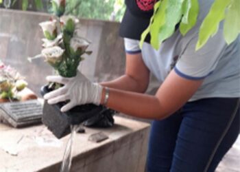 Vigilância elimina mais de 80 criadouros de larvas da dengue  no Cemitério Central durante limpeza preventiva
