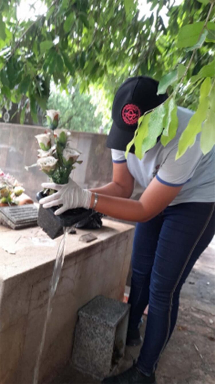 Vigilância elimina mais de 80 criadouros de larvas da dengue  no Cemitério Central durante limpeza preventiva
