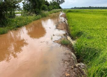 Efeitos da chuvarada persistem na região e  ainda há municípios com áreas alagadas