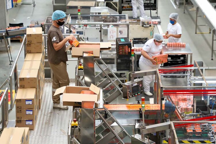 Taxa de desemprego segue em queda e chega a 4,6%, a 5ª menor do País