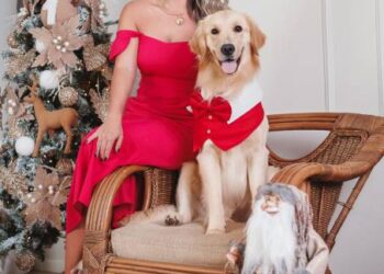 Espaço PET 23 a 26/12