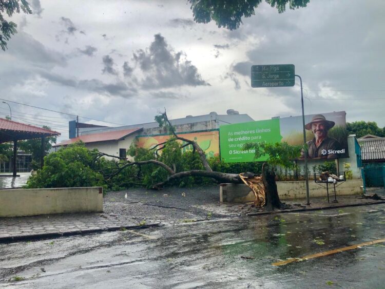 Temporal causa estragos e centenas de imóveis seguem sem energia