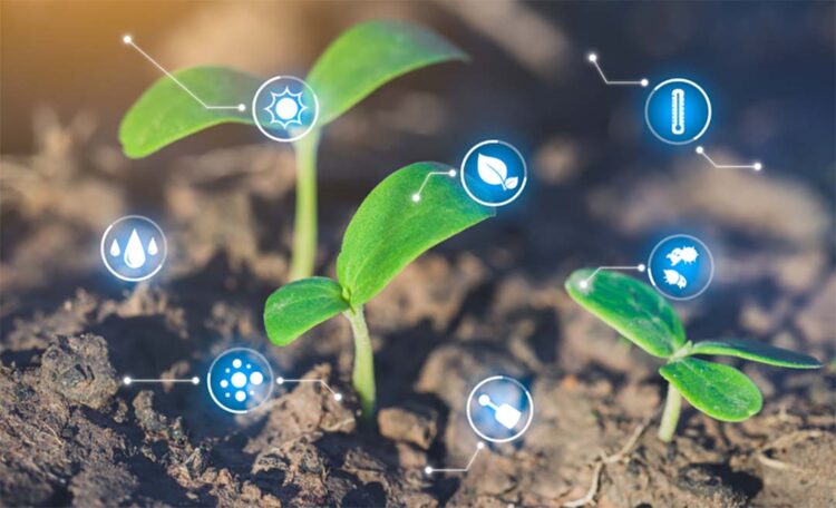 Aplicação do crédito rural chega a R$ 217 bilhões em cinco meses