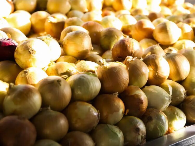 Cebola, alface e batata registram nova alta nos preços no atacado, aponta Boletim