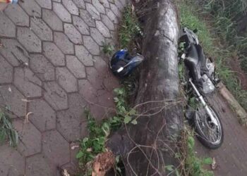 Homem morre após colidir motocicleta contra árvore