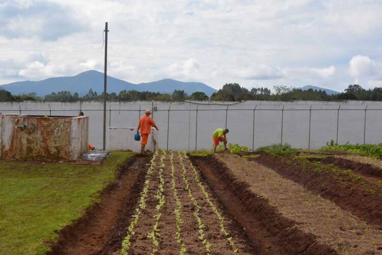 Paraná conclui ano com 240 novos canteiros de trabalho no sistema prisional