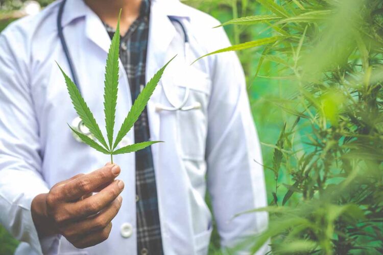 Nove doenças que podem ser tratadas com cannabis medicinal