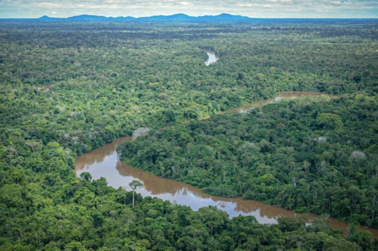 Desmatamento cai pela metade na amazônia e sobe 43% no cerrado em 2023