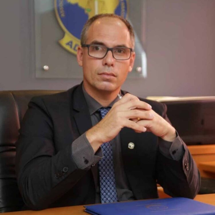 A importância do nível do IDH e sua influência na criminalidade