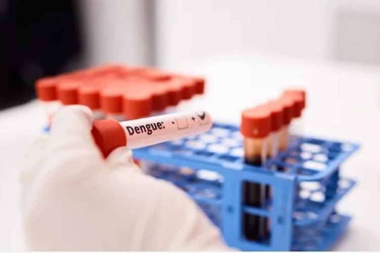 Busca por teste de dengue na rede privada cresce 25% no país