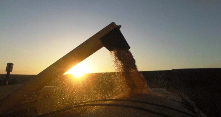 Boletim mostra que condições agrometeorológicas favorecem semeadura, colheita e desenvolvimento da safra