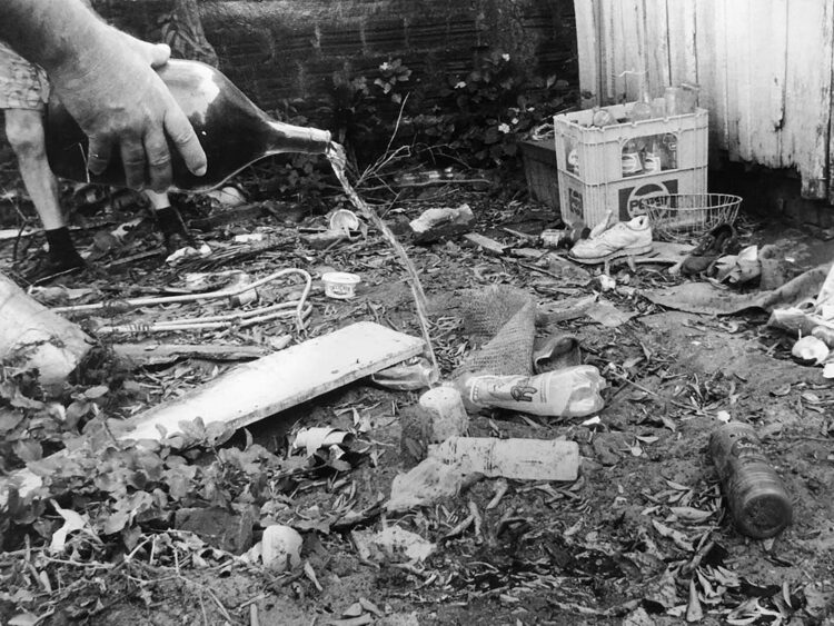 Vereadoras de Paranavaí pedem informações sobre investimentos no combate à dengue