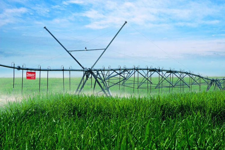 Manejo adequado da irrigação pode ampliar vida útil do canavial