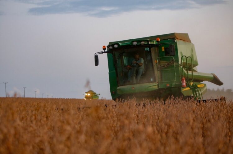 Paraná deve produzir 21,12 milhões de toneladas de grãos na safra de verão 2023/2024
