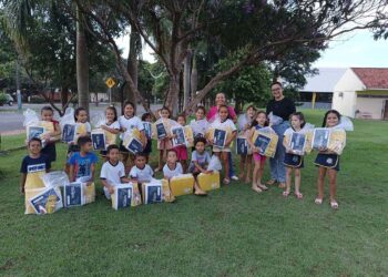 Avaliação diagnóstica permite avanços  no processo de aprendizagem em Terra Rica