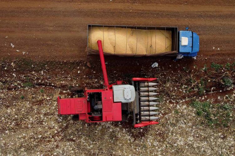 Agropecuária cresce 15,1% e bate recorde no PIB em 2023