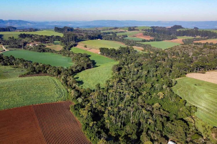 Municípios têm até 30 de abril para cadastrar novas áreas