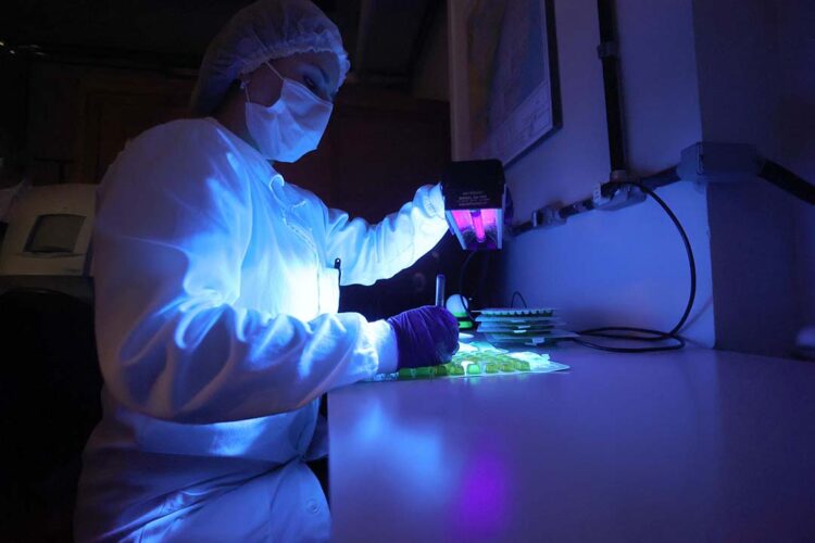 Estado destinará R$ 708,9 milhões  para ciência e tecnologia em 2024