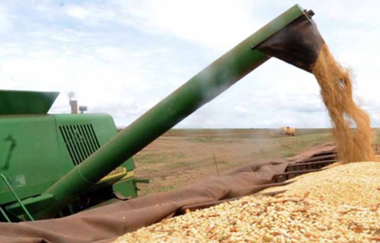 Preço da soja inicia a segunda-feira (11) em alta no Paraná