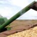 Preço da soja inicia a segunda-feira (11) em alta no Paraná