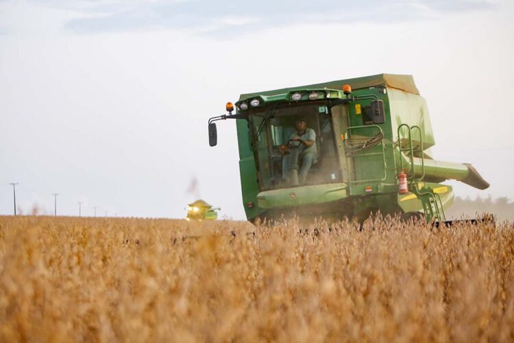 Conab estima produção de 294,1 milhões de toneladas de grãos na safra 2023/2024