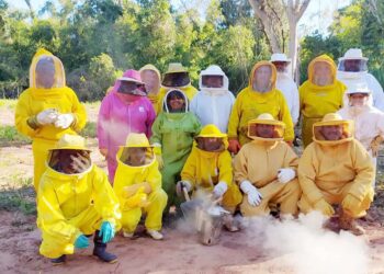 Centro da UEM desenvolve pesquisa genética com abelhas