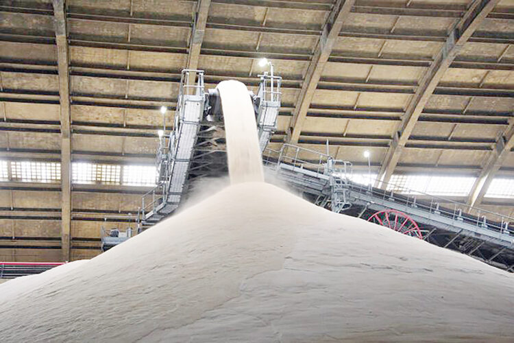 Conab estima recorde na produção de açúcar mesmo com queda na safra de cana