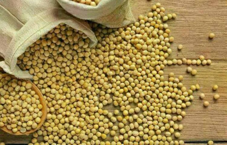 Preço da soja sobe no Paraná