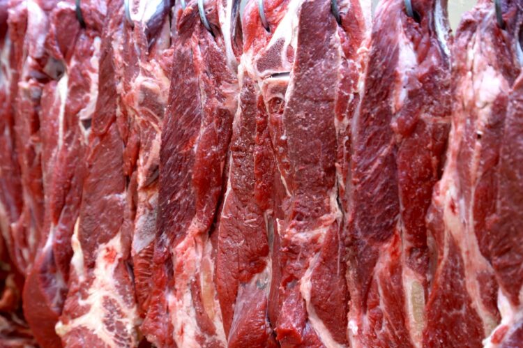 Governo vai pedir acesso ao mercado de carne bovina do Japão
