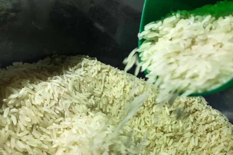 Governo Federal zera tarifa de importação de arroz para garantir abastecimento