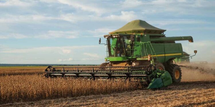 Desembolso do crédito rural chega a R$ 347,2 bilhões em 10 meses, aponta Mapa