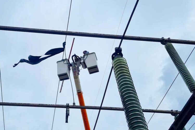 Copel alerta para ocorrências e risco de balões na rede elétrica