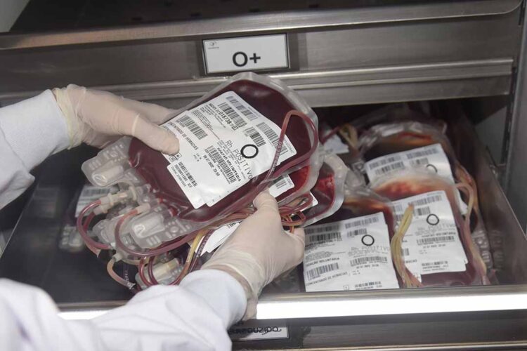Paraná envia 300 bolsas de sangue  para ajudar o sistema de saúde do RS