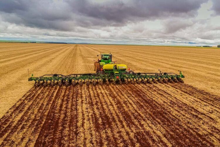 Novo vazio sanitário da soja traz benefícios para o produtor rural