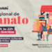 2ª Feira Regional de Artesanato acontece neste sábado
