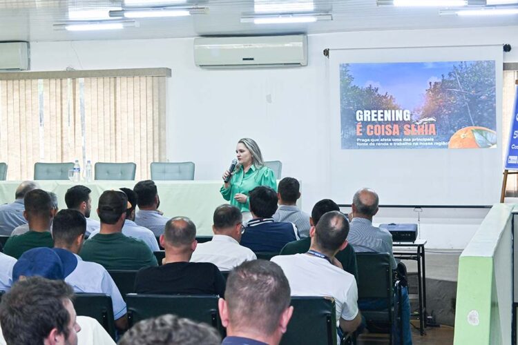 Citricultores discutem medidas de controle do greening em pomares da Região Noroeste
