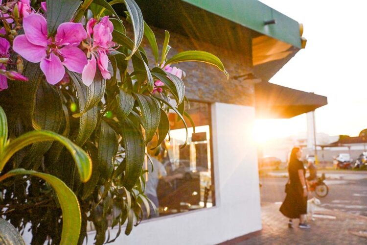 Sol predomina em Paranavaí neste fim de semana e temperaturas podem chegar a 30°C