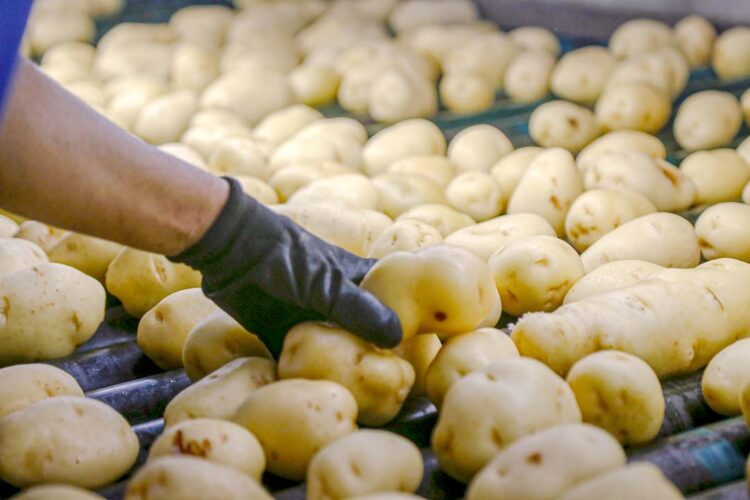 Inflação de maio sobe para 0,46%, influenciada pelos alimentos