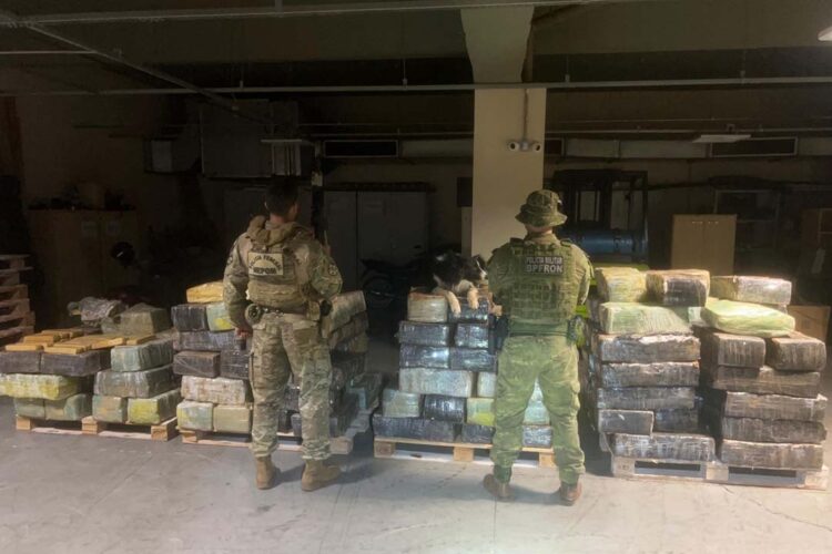 PMPR apreende mais de 2,7 toneladas de maconha