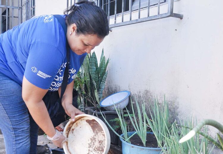 Paraná enfrenta a maior epidemia de dengue de todos os tempos, diz secretário da Saúde
