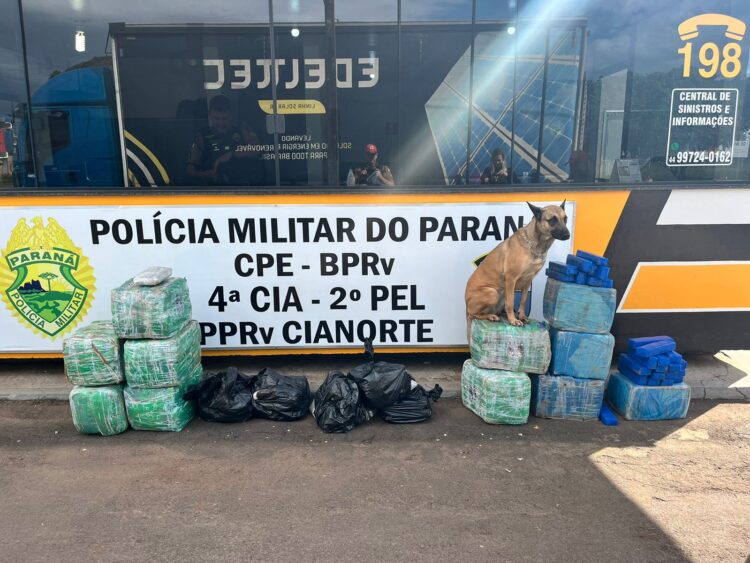 PRE apreende mais de 200 kg de droga na PR-323; carga está avaliada em R$ 700 mil